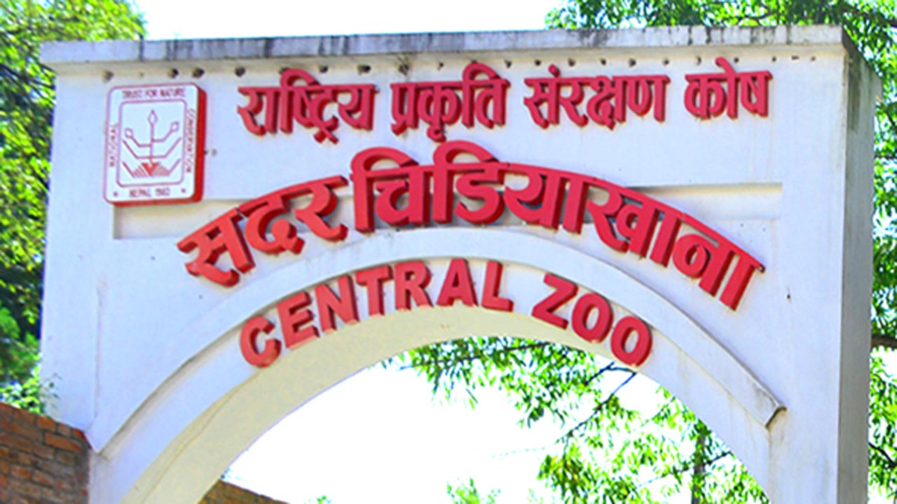 central zoo