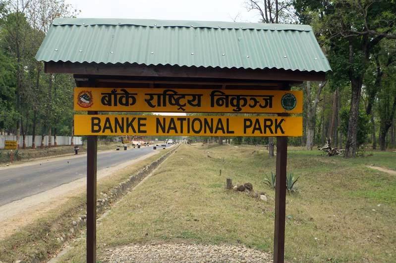 banke national park
